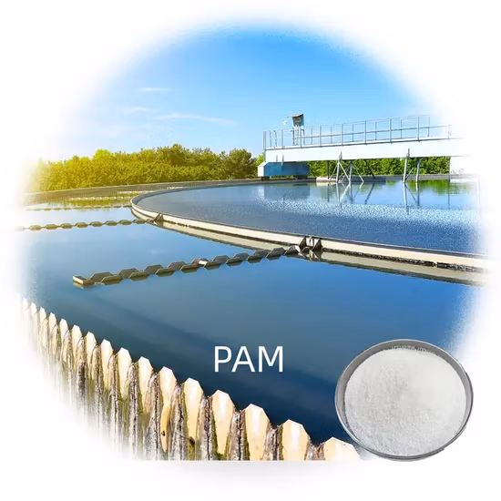 Water Treatment Chemical Flocculant Cationic Anionic and Nonionic Polyacrylamide
